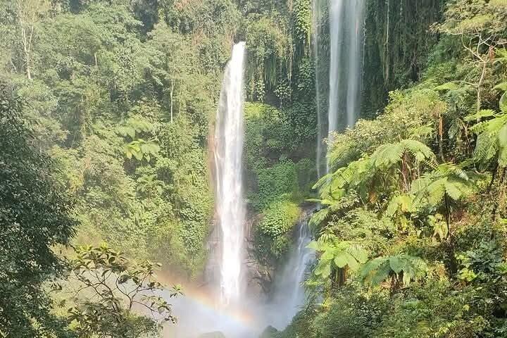 Sekumpul Waterfall Tour