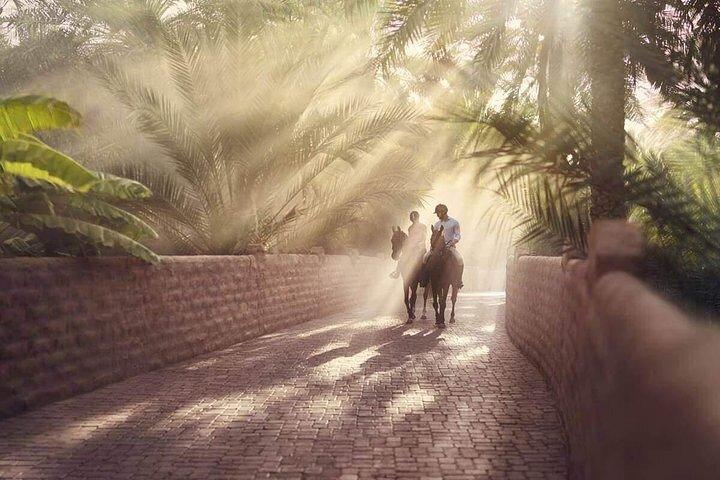Al Ain City Tour from Dubai