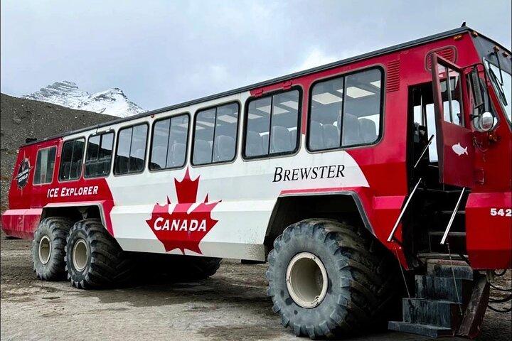 Columbia Icefield, Crowfoot Glacier and Bow ,Peyto Lake Tour