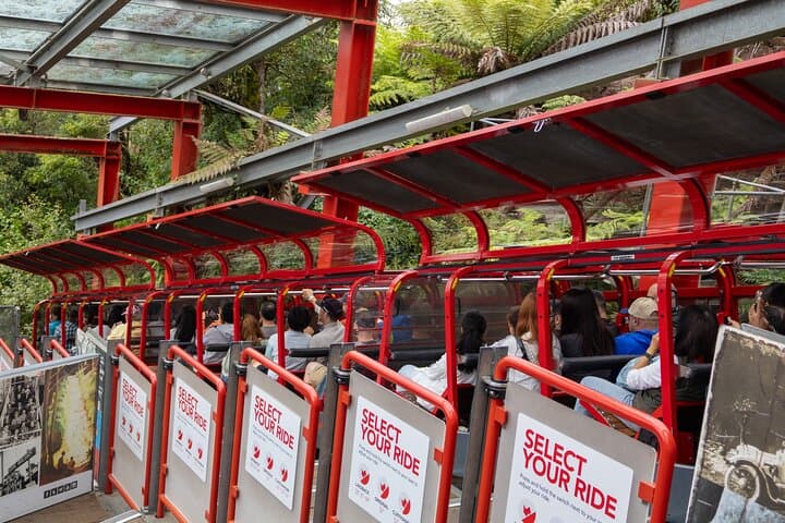 Blue Mountains, Sydney Zoo, Scenic World from Sydney