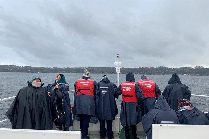 Scenic Catamaran Tour on Llanquihue lake