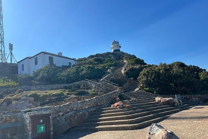 Cape of Good Hope Full-Day Tour: Boulders Beach Penguin Colony