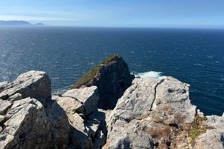 Cape of Good Hope Full-Day Tour: Boulders Beach Penguin Colony