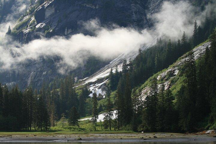 Private Boat Tour of Misty Fjords from Ketchikan