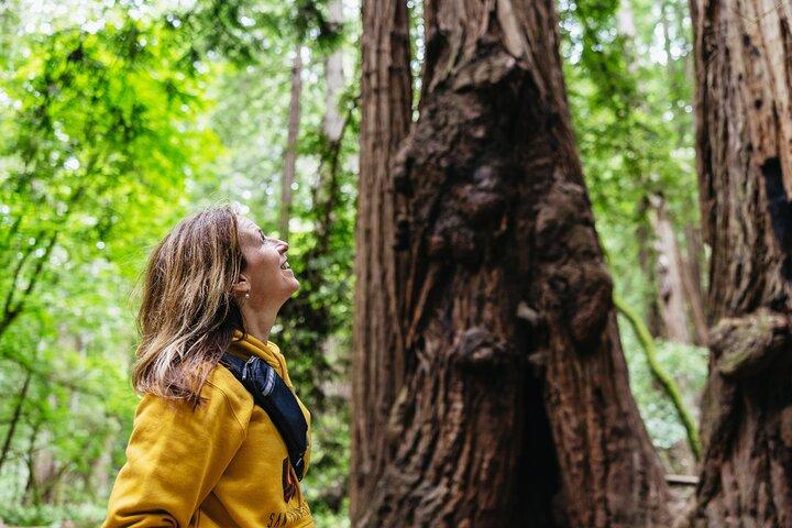 Muir Woods and Sausalito Tour (Return by Bus or Ferry)