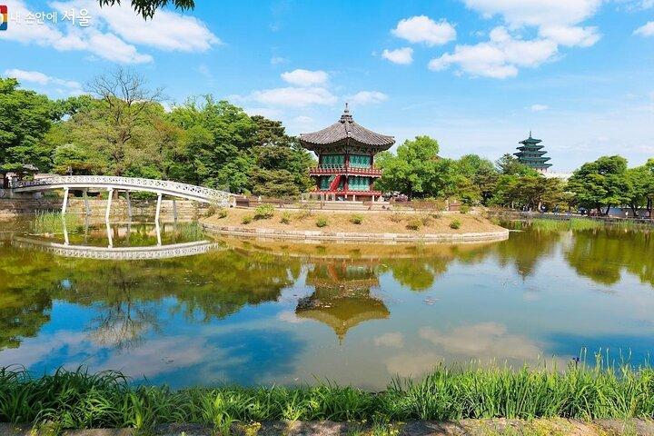 Private Car Tour to Coex Aquarium Seoul