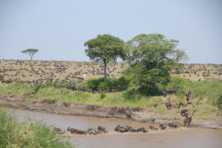 3 Days Group Joining Safari to Maasai Mara in a 4WD JEEP
