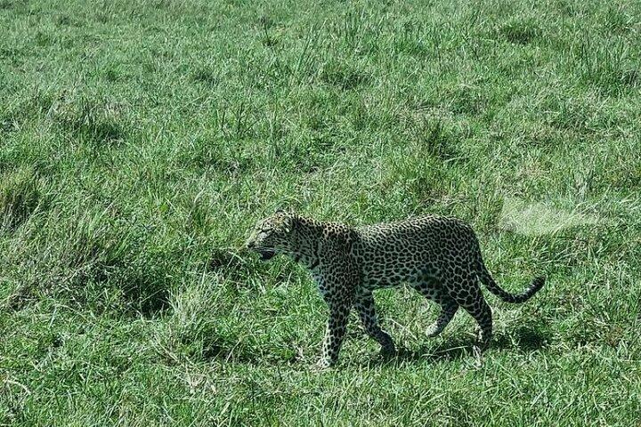 3 Days Group Joining Safari to Maasai Mara in a 4WD JEEP