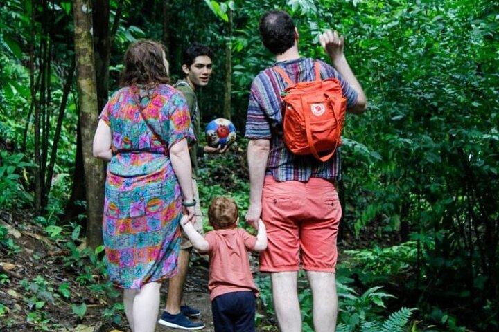 Jurassic Park Adventure - HIKE -10 Waterfalls + Pools & Much More