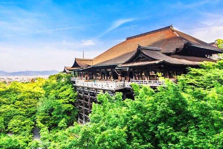 Kiyomizu Temple, Fushimi Inari Taisha: Kyoto & Nara Park Day Tour