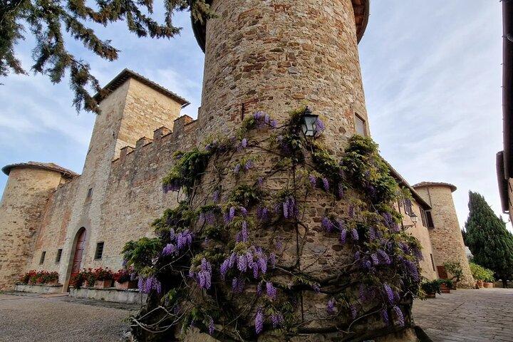 Private Wine Tour in Tuscany Florence Limo Service English driver