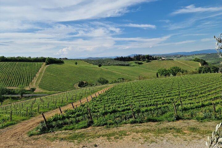 Private Wine Tour in Tuscany Florence Limo Service English driver