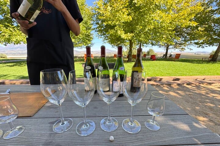 Full Day Tour to Wine Estates Stellenbosch, Franschhoek and Paarl