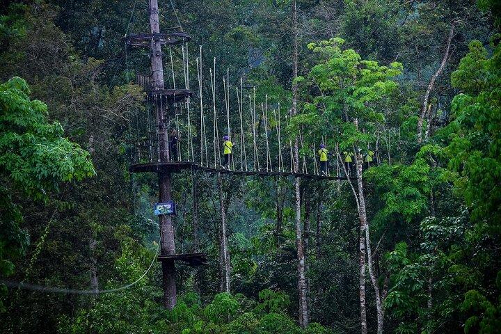 Nha Trang Zipline Canopy Adventure – Jungle Flight Experience