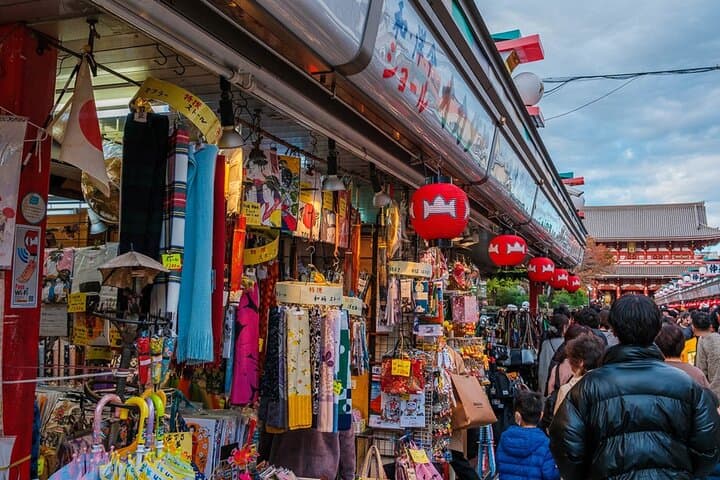Tokyo: Private Walking Tour with a Local Guide