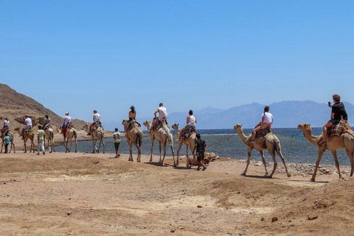 Blue Hole in Dahab By Bus with Lunch and Camel Ride - Sharm El-Sheikh