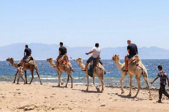 Blue Hole in Dahab By Bus with Lunch and Camel Ride - Sharm El-Sheikh