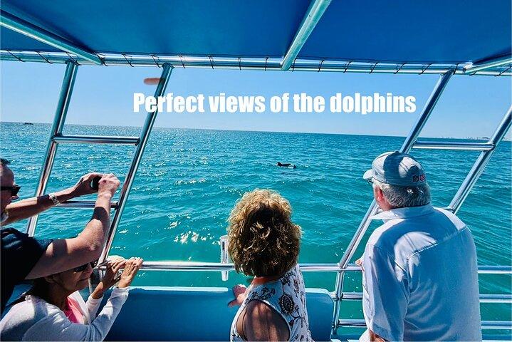 Dolphin Sightseeing Tour near Shell Island in Panama City Beach