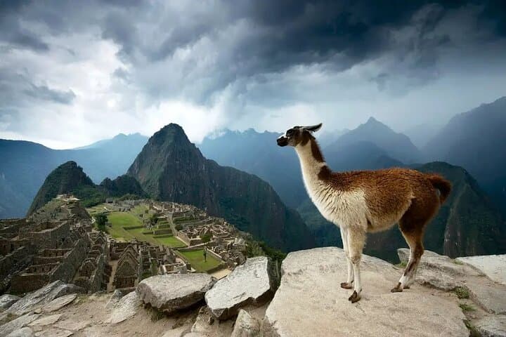 A Day at Machu Picchu, Journey to the Heart of the Andes