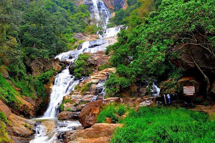 Yala Safari & Ella Sightseeing Day Trip - Private & All Inclusive