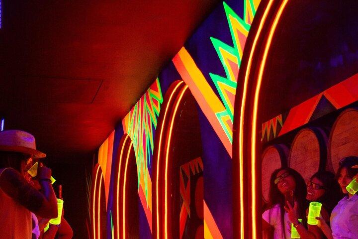Immersive Experience & Tequila Tasting in Puerto Vallarta