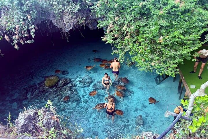 Prison Island, Salaam Cave Tour, Rock Restaurant, Kuza Cave Tour