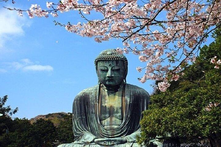 Kamakura and Enoshima Day Tour from Shinjuku