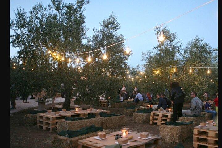 Apulian Olive Oil Tasting and Aperitivo Experience in Trani