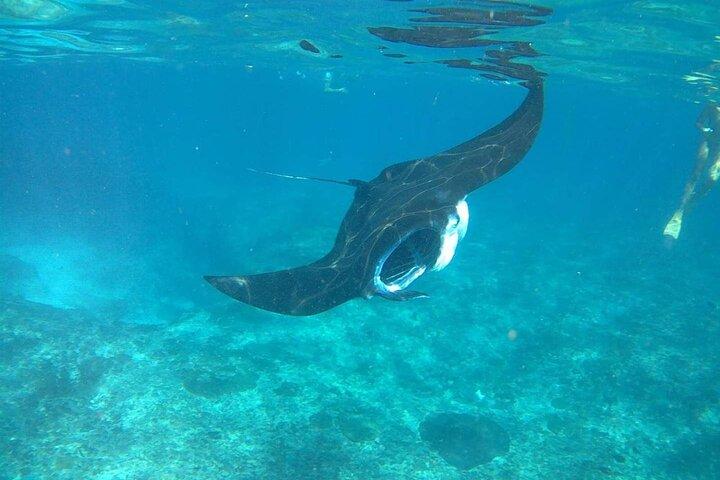 Nusa Penida Island Tour and Snorkeling package
