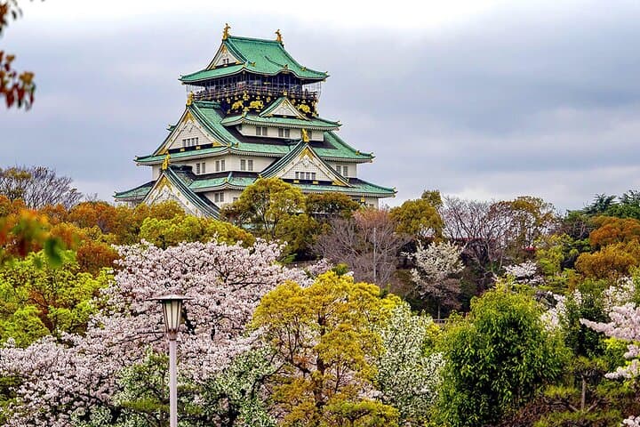 Osaka Half Day Walking Tour with an Expert Local Guide