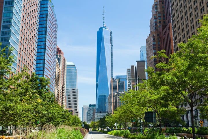 The Manhattan Bus and Walking Tour: Times Square to Battery Park