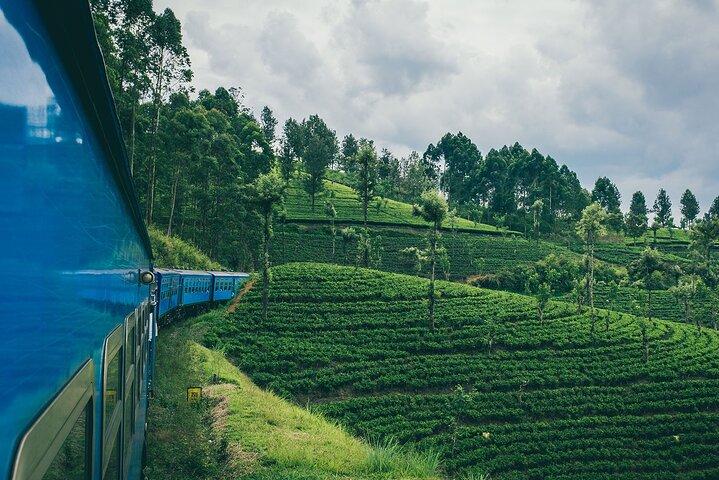 First Class Scenic Train Ticket From Kandy To Ella