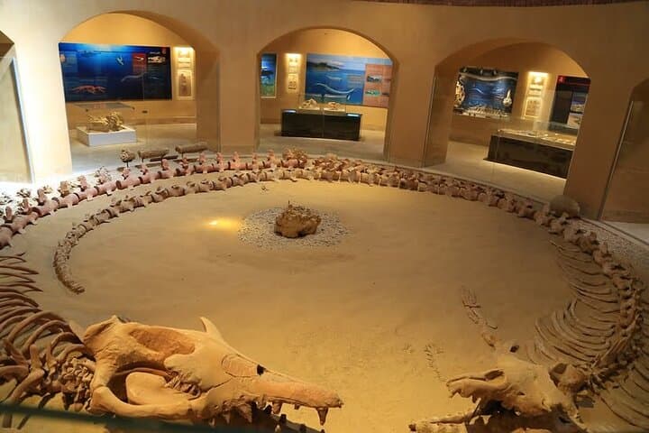 Fayoum Oasis Safari 4×4 Wadi El Rayan & Valley of the whales