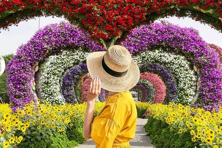 Skip the Line Ticket to Dubai Miracle Garden and Transfer Option