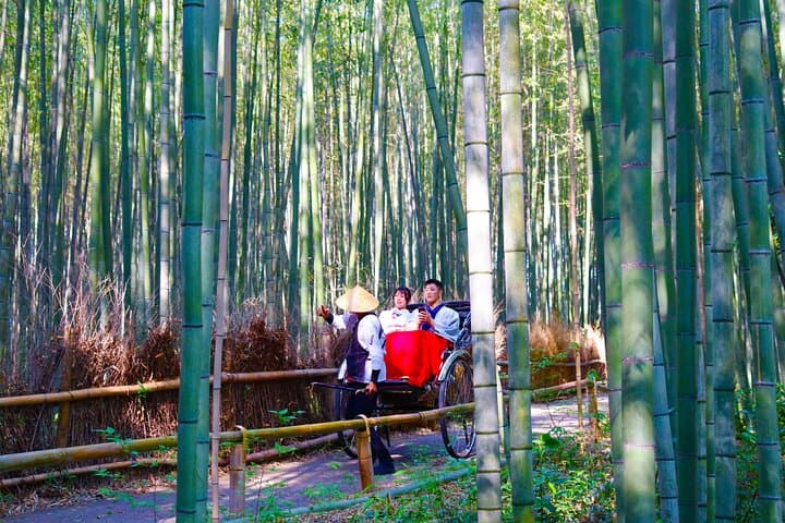Private Kyoto Morning Tour: Fushimi Inari, Arashiyama & Monkey