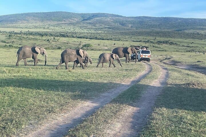4 Days Maasai Mara Group Joining Safari in 4WD