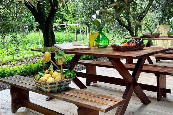 Cooking Class in a Typical Sorrento Garden