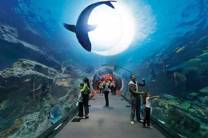 Dubai private Modern Tour From Fujairah