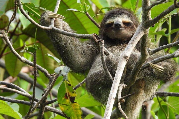 A Bocas Mangrove Kayak & Reef Snorkel Eco Tour