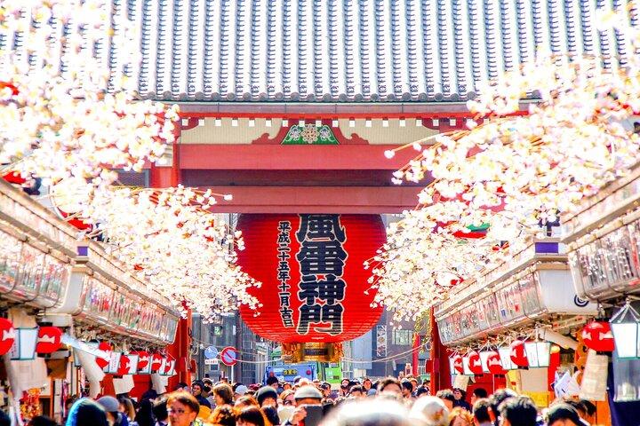 Tokyo Private Group Tour – Flexible Schedule and Stops