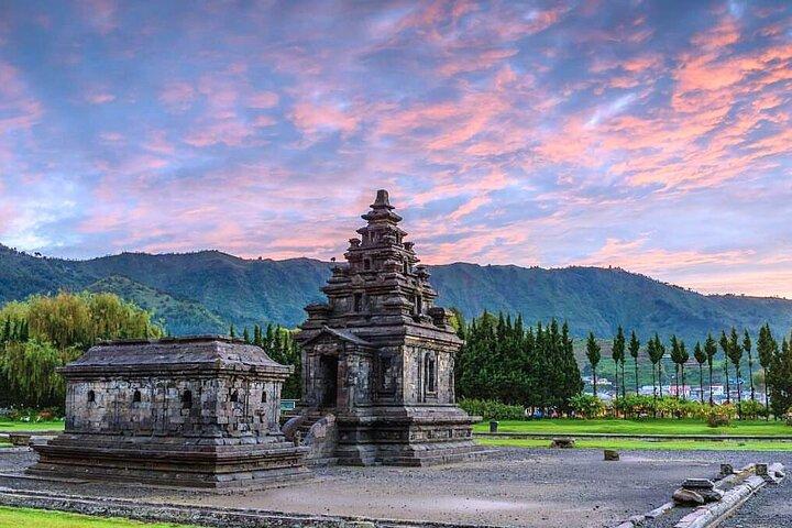 Full-Day Adventure: Tea Plantation & the Mystical Dieng Plateau