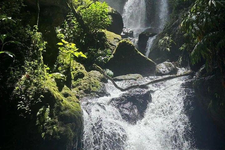 Materuni Waterfalls and Hot Springs Private Tour