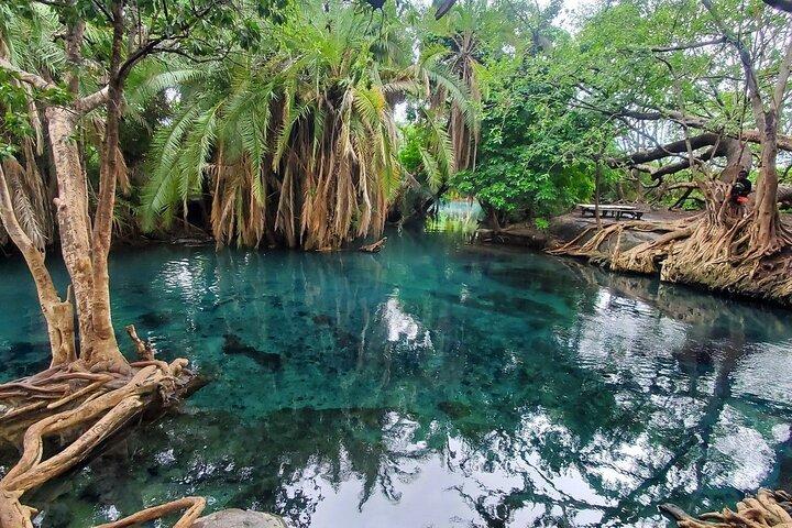 Materuni Waterfalls and Hot Springs Private Tour