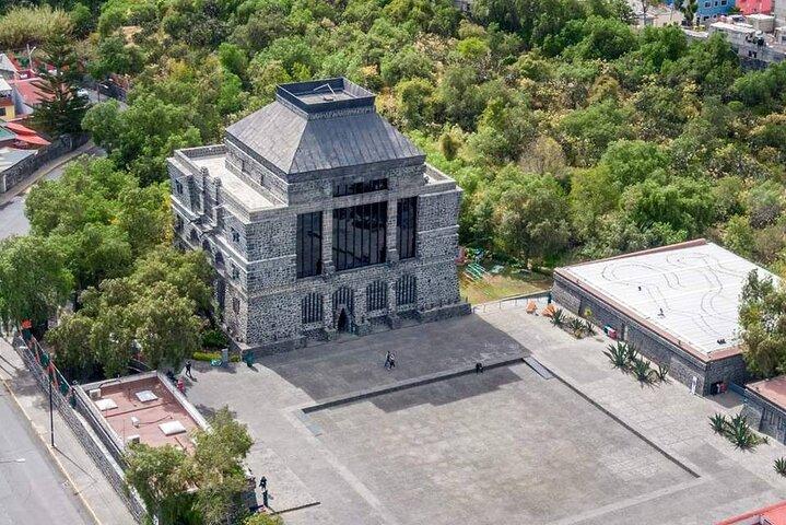 Xochimilco + Museo Anahuacalli (add-on) PET-FRIENDLY