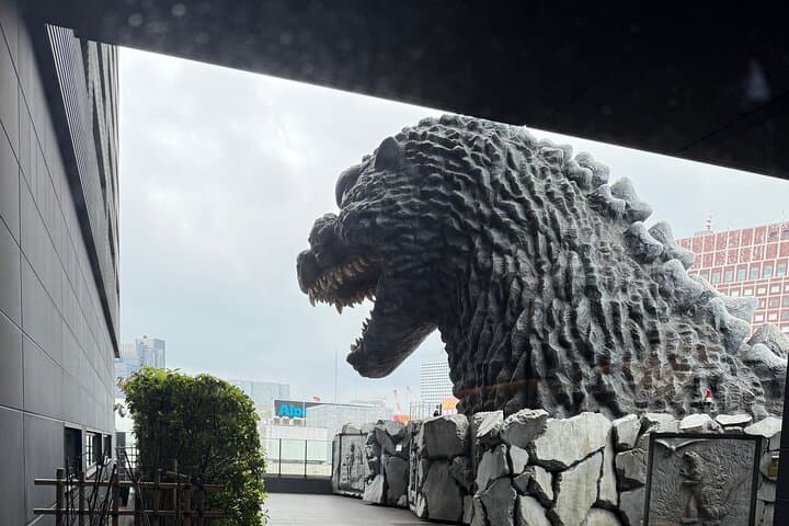 Tokyo / Shibuya / Yokohama Tours! Choose, Explore and Enjoy!