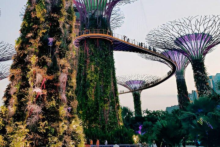 Singapore OCBC Skyway Flower dome Cloud Forest Garden by the Bay