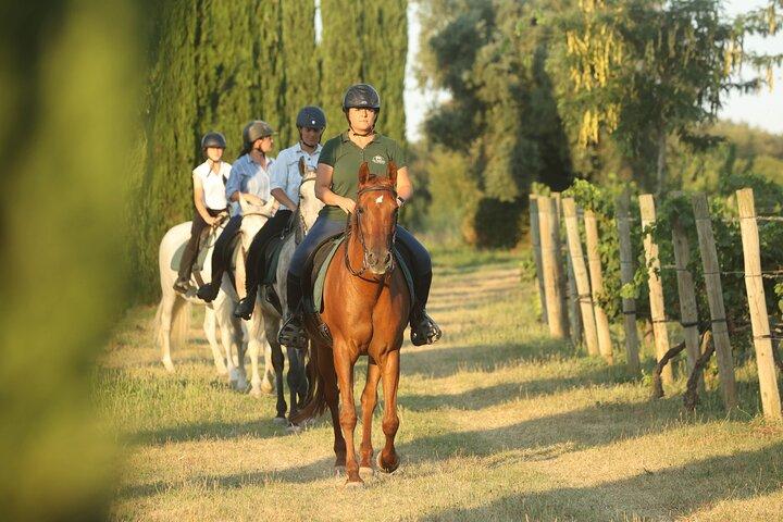 Horse Riding and Wine Tasting Experience
