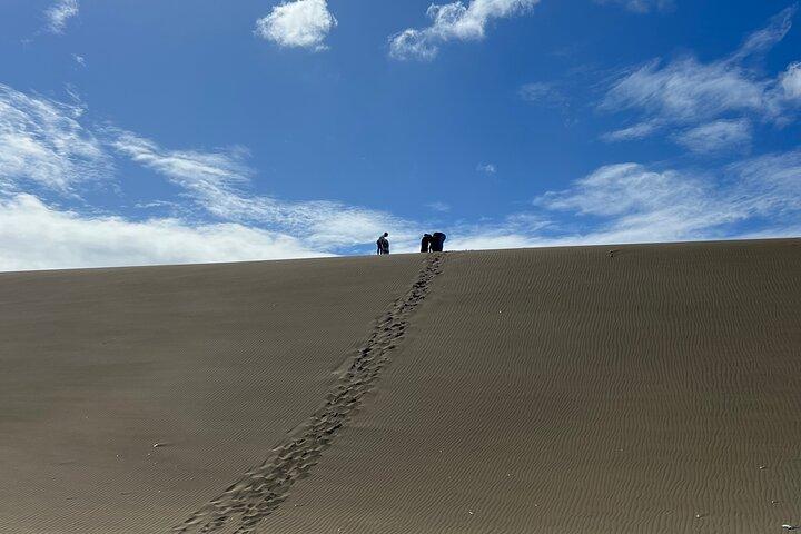Dunes Snorkeling Tour Outside Santo Domingo