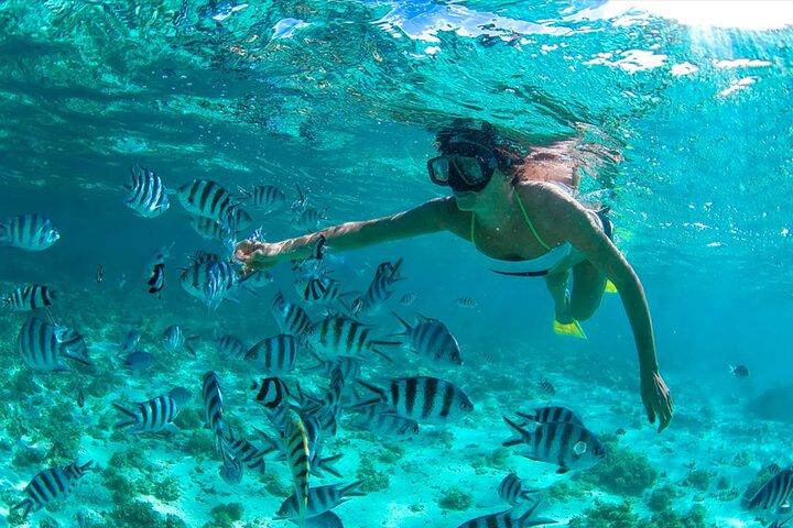 Dunes Snorkeling Tour Outside Santo Domingo