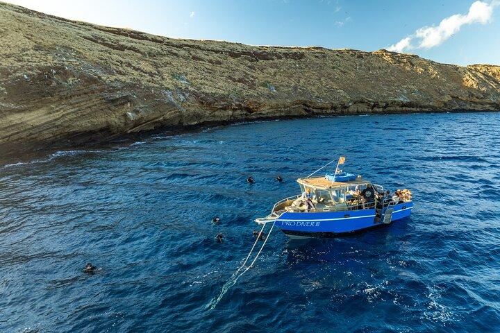 Two Site Snorkeling Adventure featuring the Molokini Crater